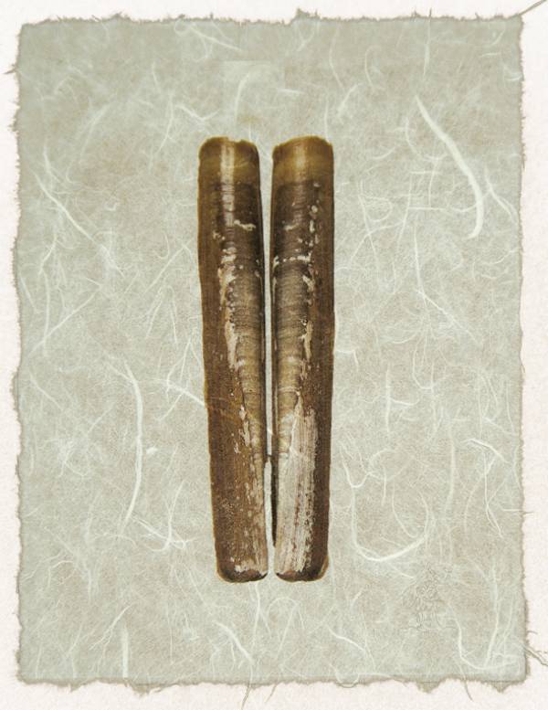 - on , Print by Forbes Art, measuring 19 x 15 cm (H x W) framed at 32 x 27 cm £25